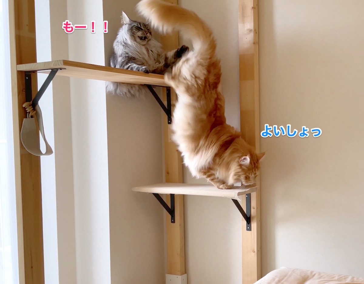 f:id:chikojirou:20210516213144j:plain