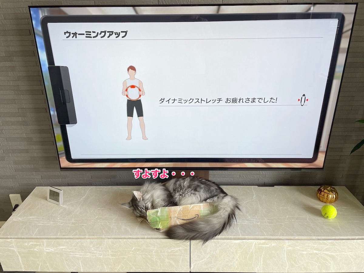 f:id:chikojirou:20210516213159j:plain