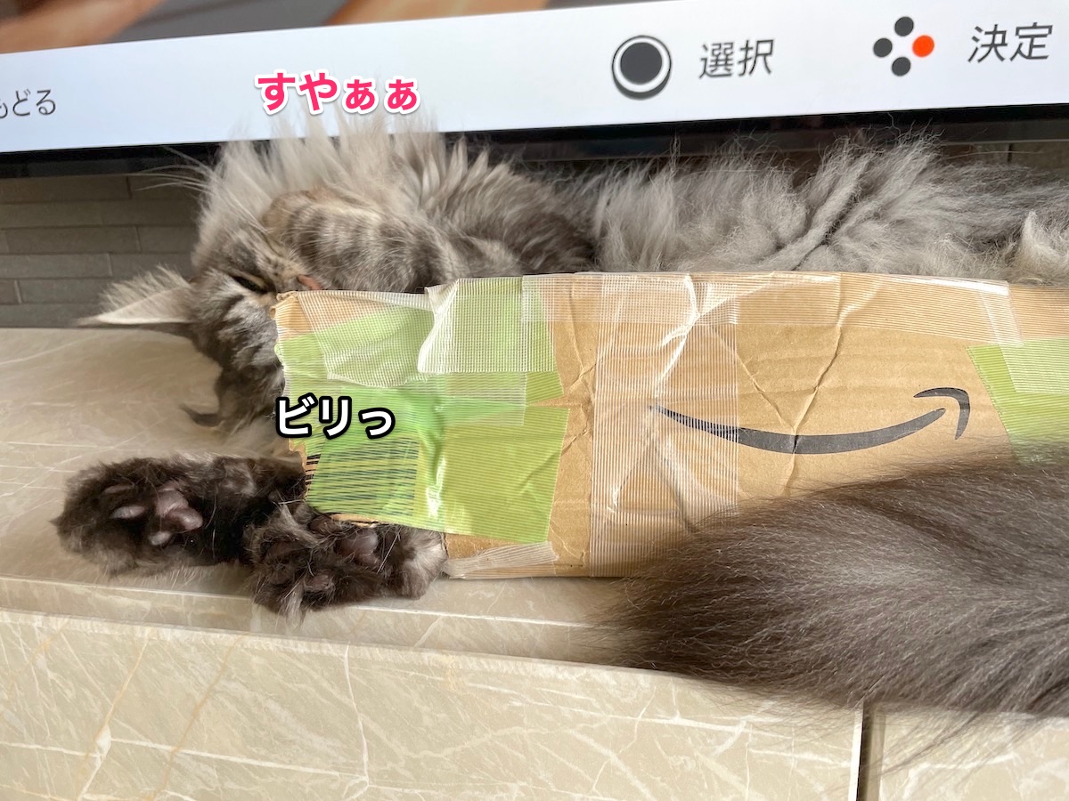 f:id:chikojirou:20210516213203j:plain