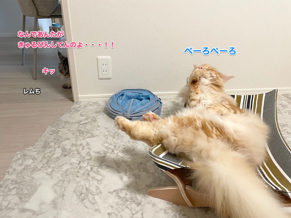 f:id:chikojirou:20210517223406j:plain