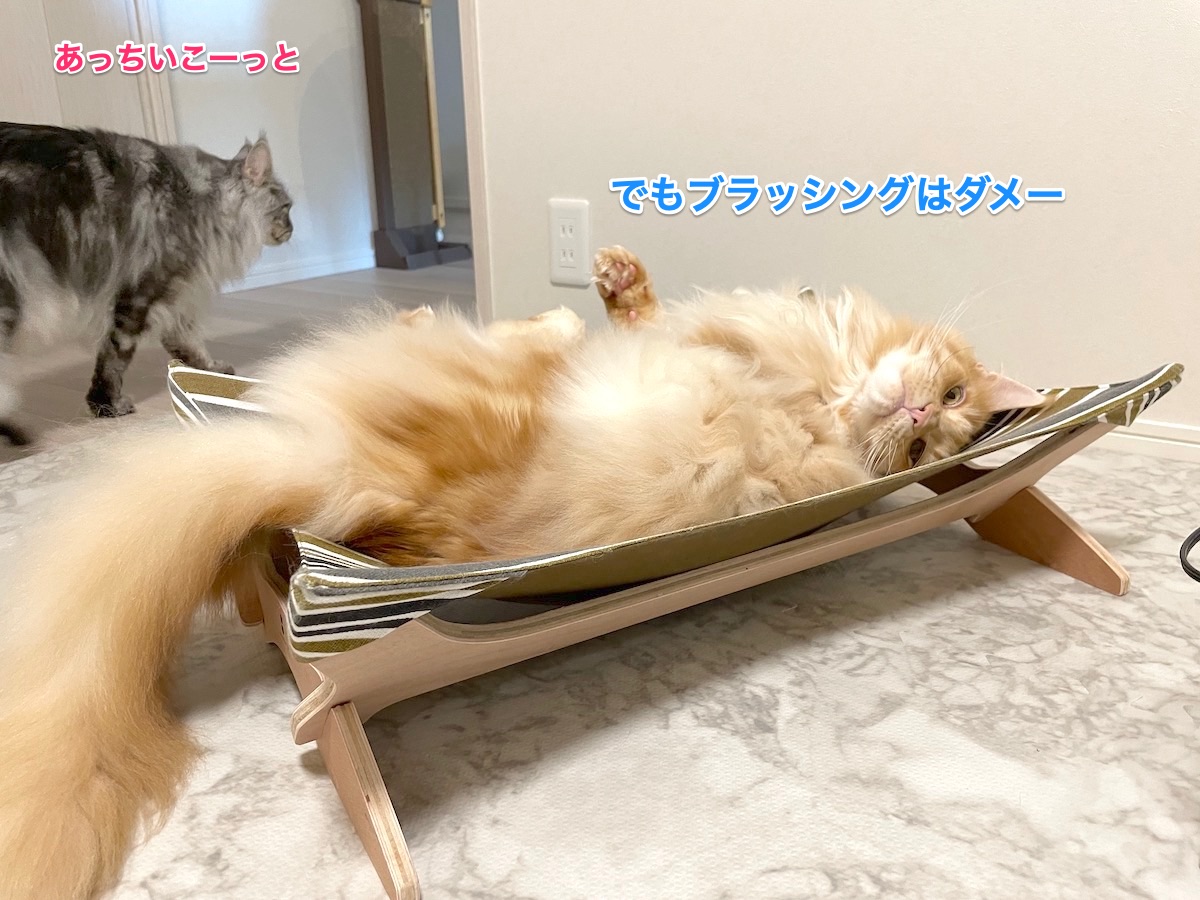 f:id:chikojirou:20210517223413j:plain