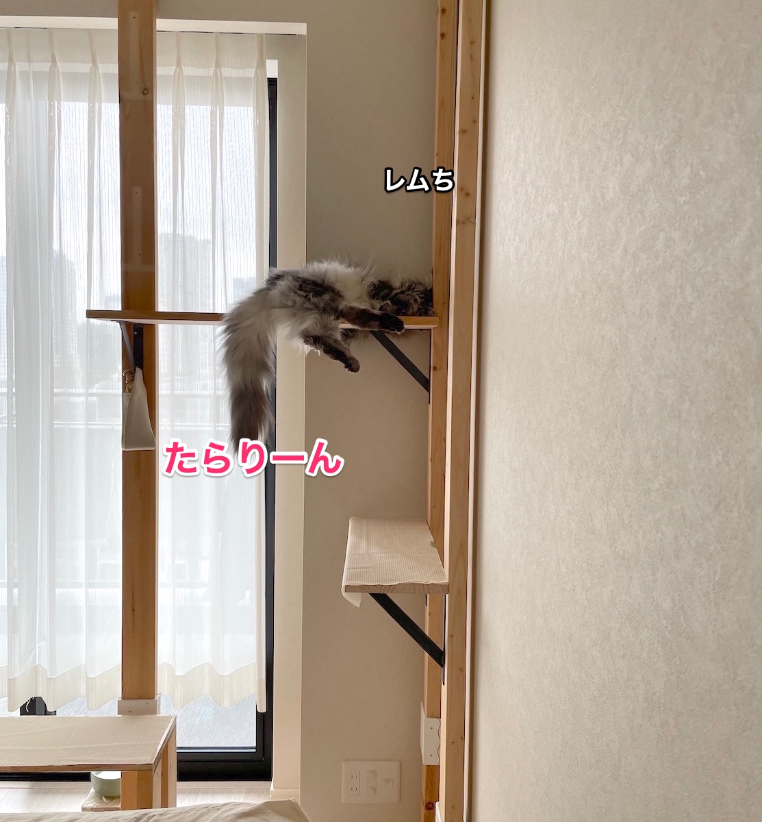 f:id:chikojirou:20210521213730j:plain