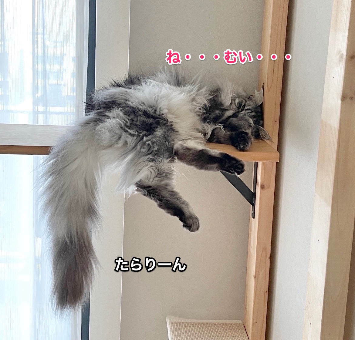 f:id:chikojirou:20210521213733j:plain