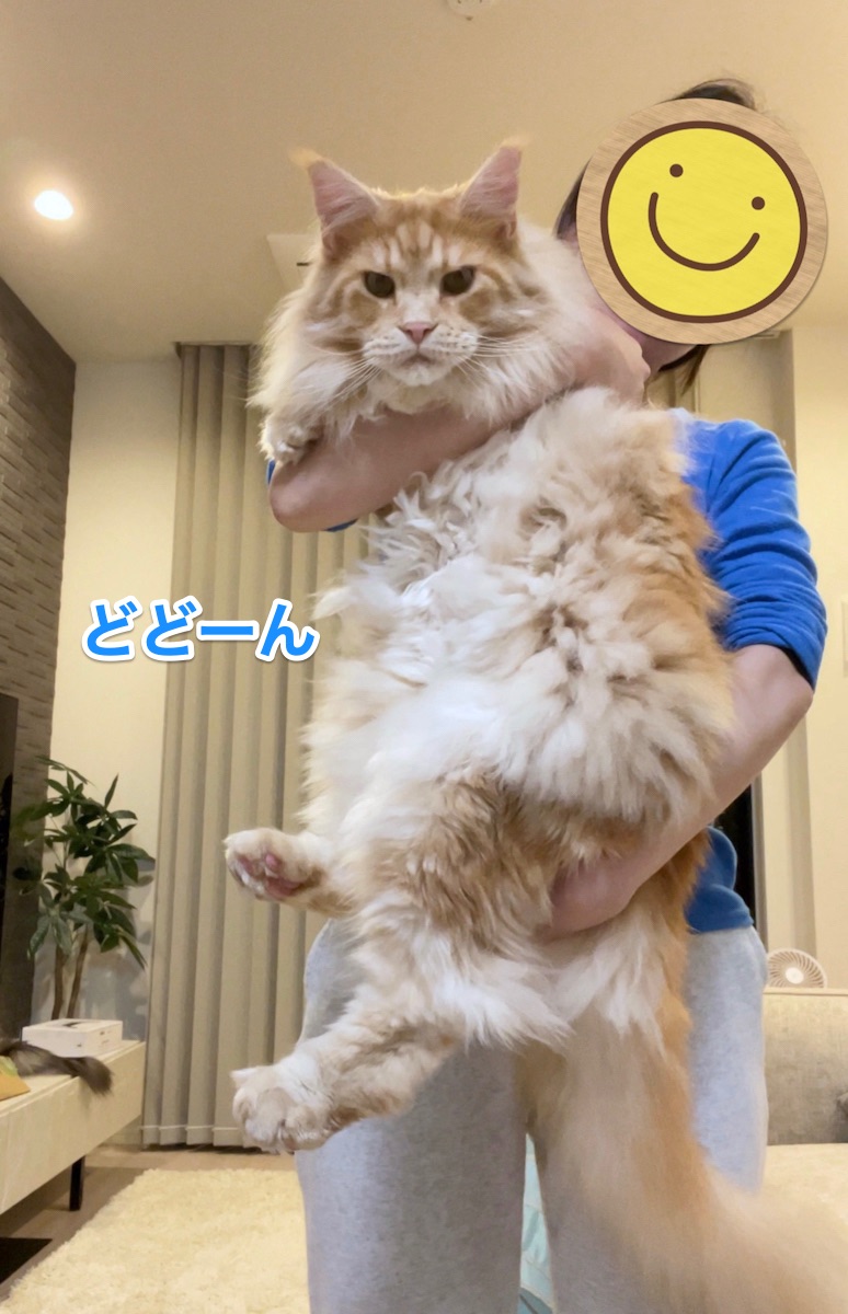 f:id:chikojirou:20210522215719j:plain