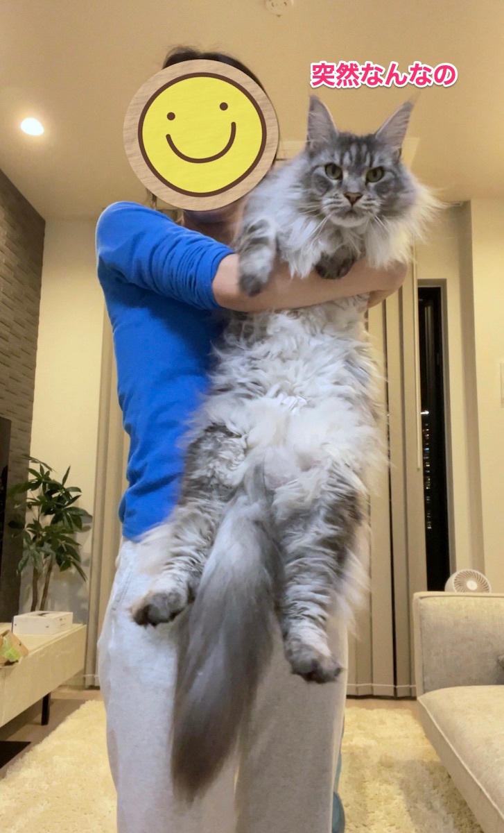 f:id:chikojirou:20210522215722j:plain