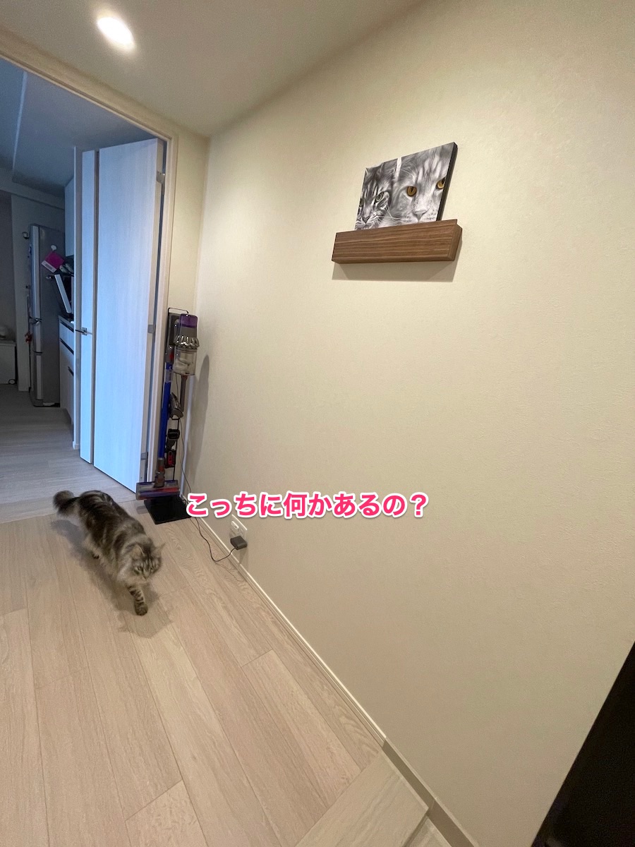 f:id:chikojirou:20210522215738j:plain