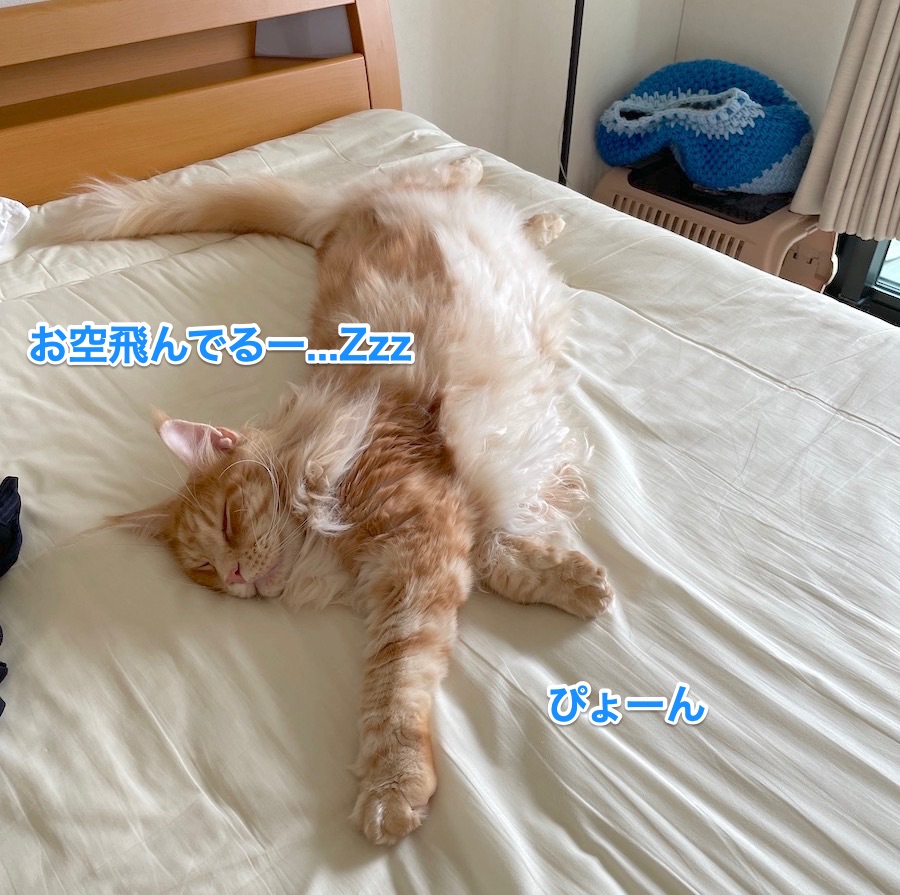 f:id:chikojirou:20210526202140j:plain