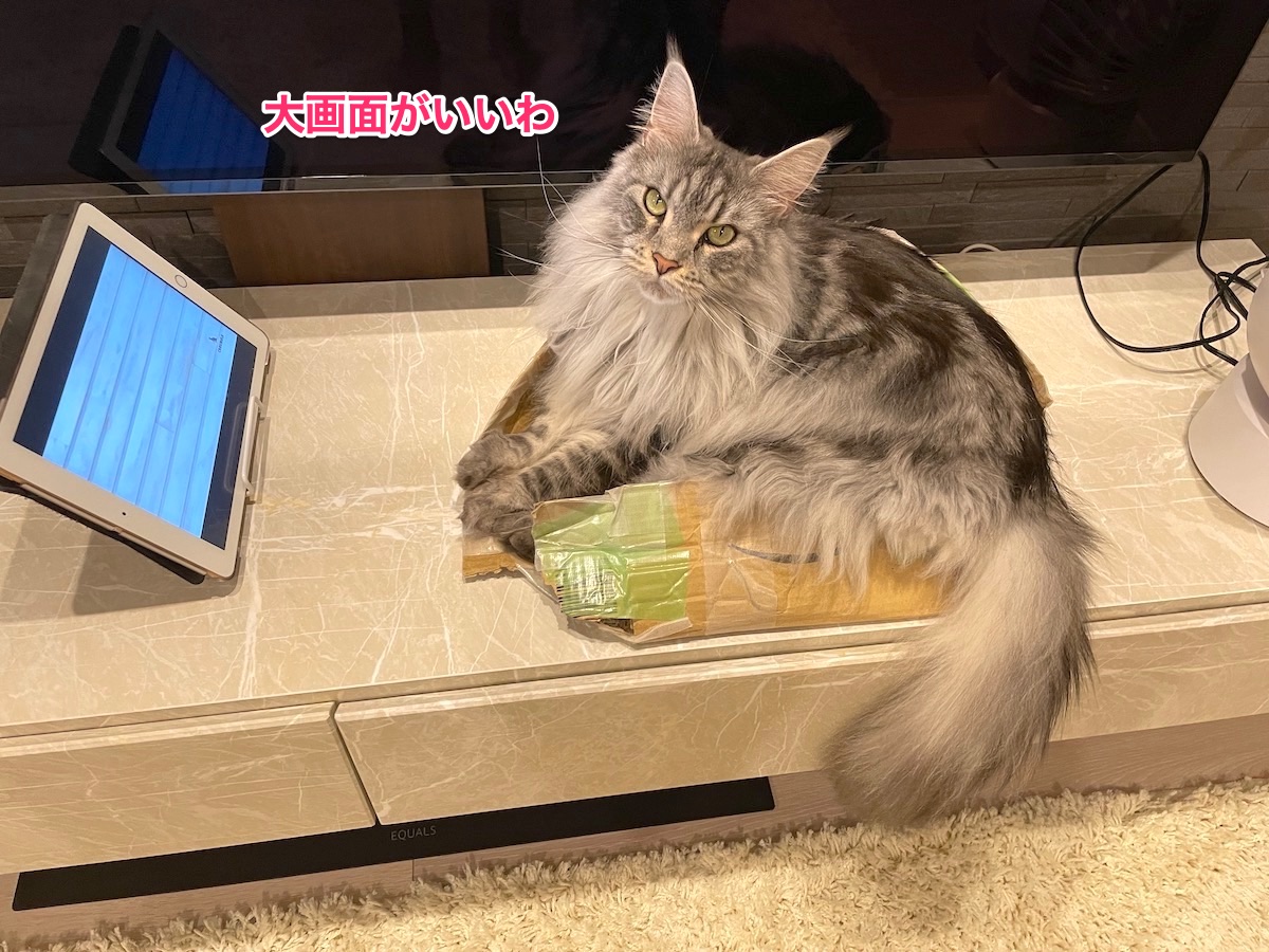 f:id:chikojirou:20210526202158j:plain