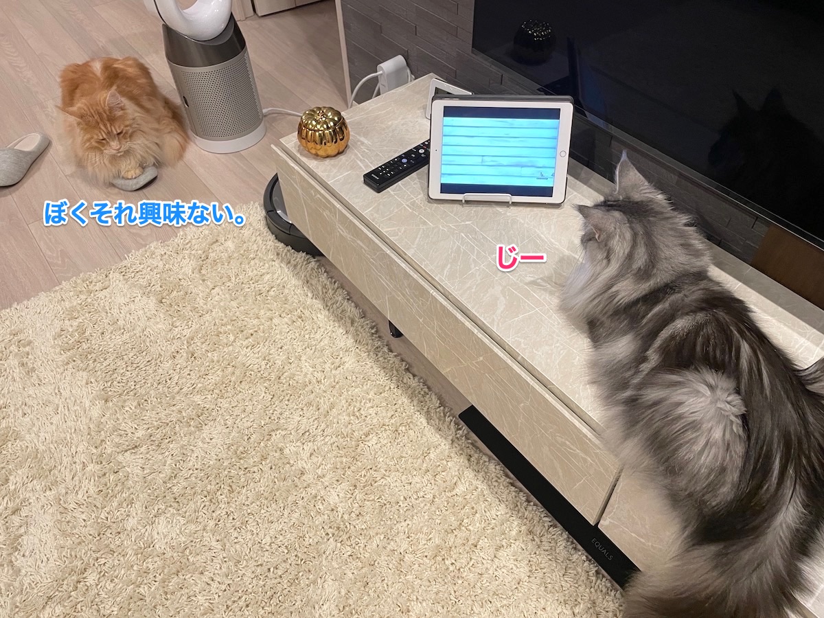 f:id:chikojirou:20210526202201j:plain