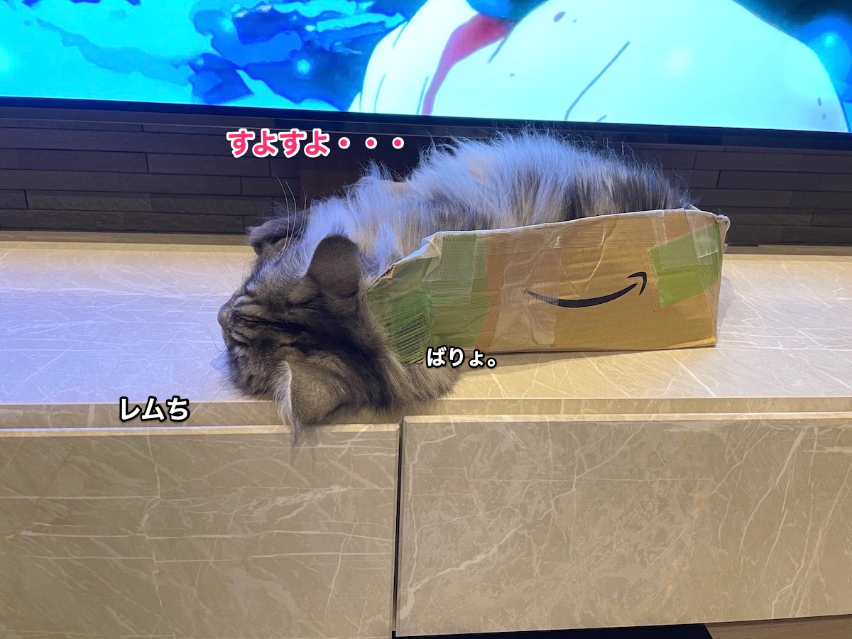 f:id:chikojirou:20210528212654j:plain