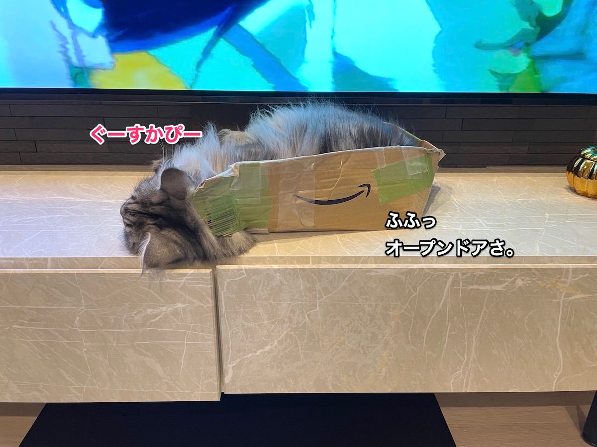 f:id:chikojirou:20210528212657j:plain