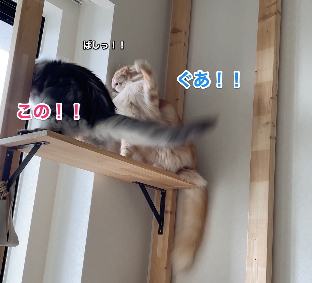 f:id:chikojirou:20210528212712j:plain