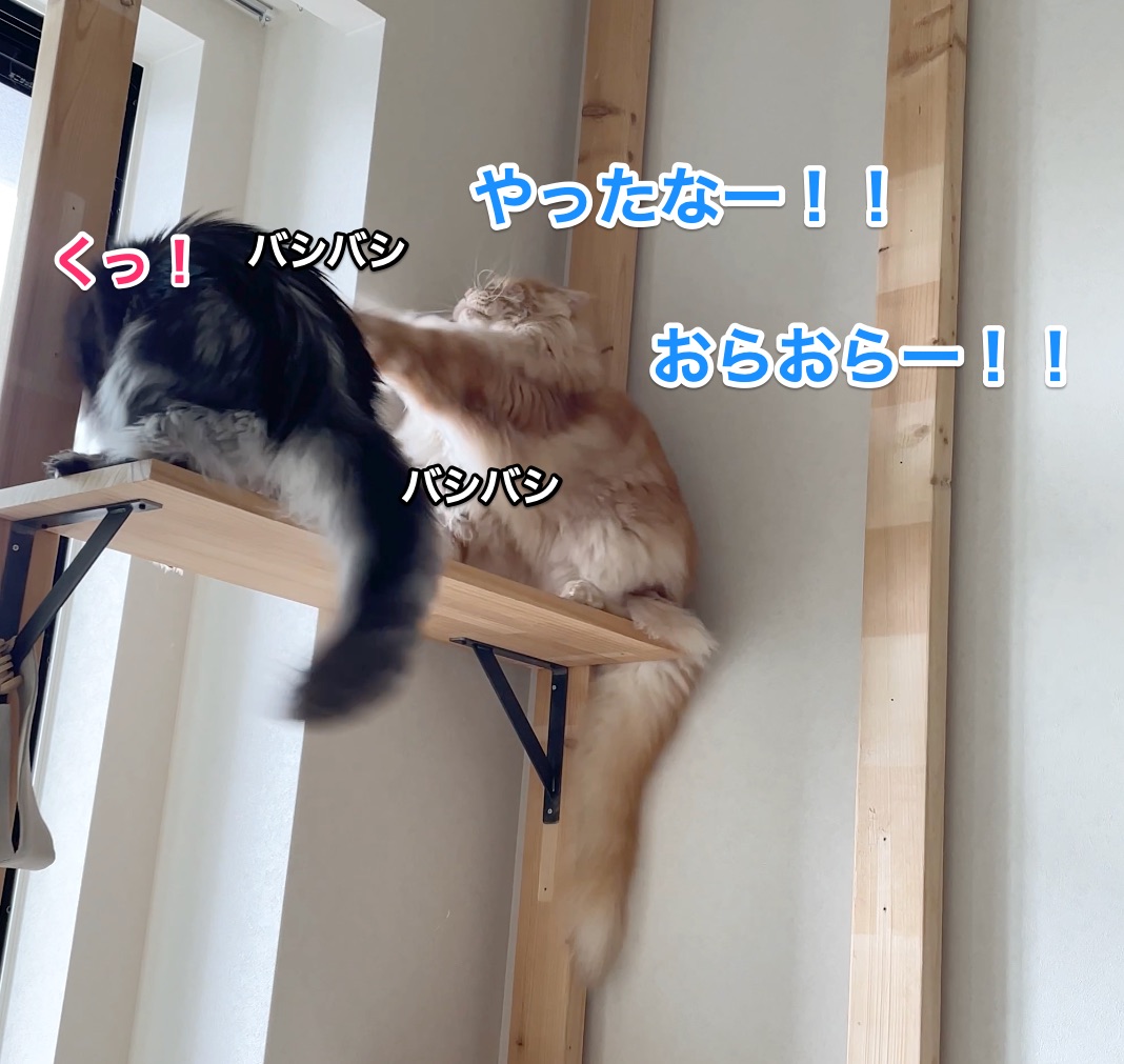 f:id:chikojirou:20210528212715j:plain