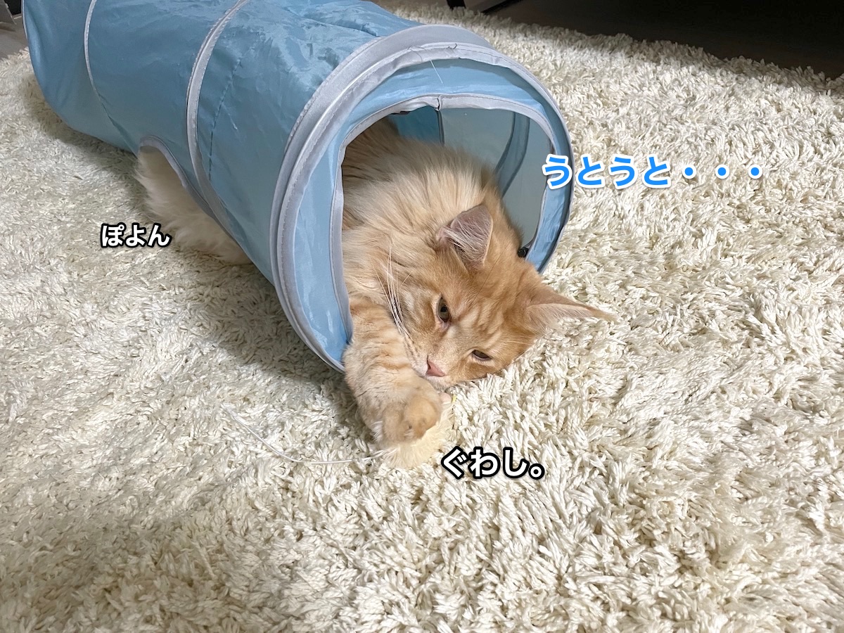 f:id:chikojirou:20210530215714j:plain