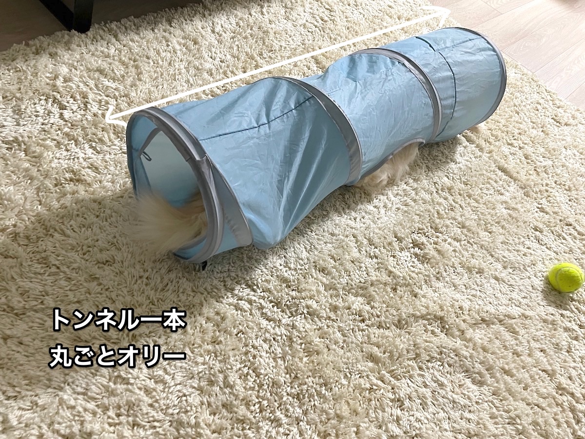 f:id:chikojirou:20210530215721j:plain
