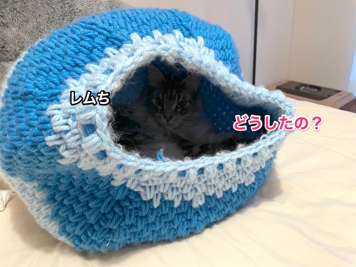 f:id:chikojirou:20210602220048j:plain
