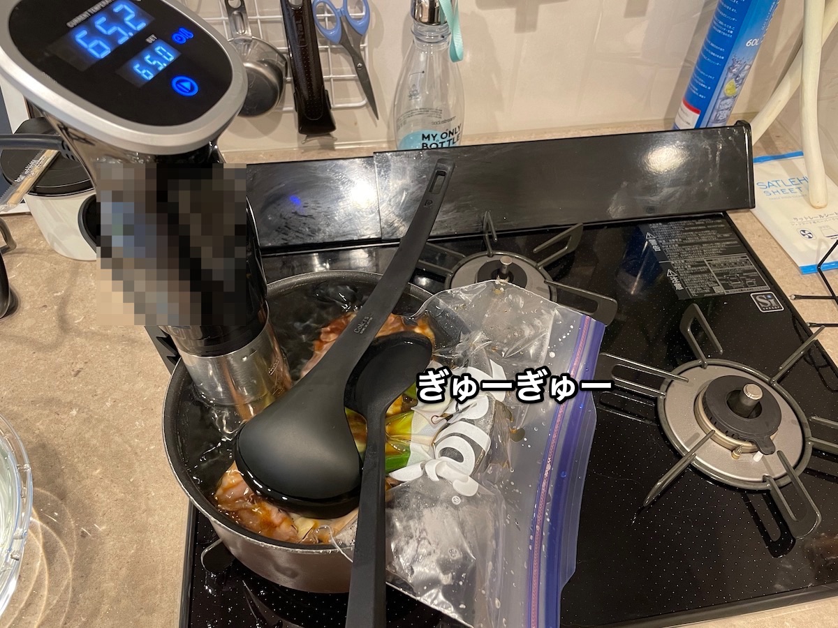 f:id:chikojirou:20210602220059j:plain