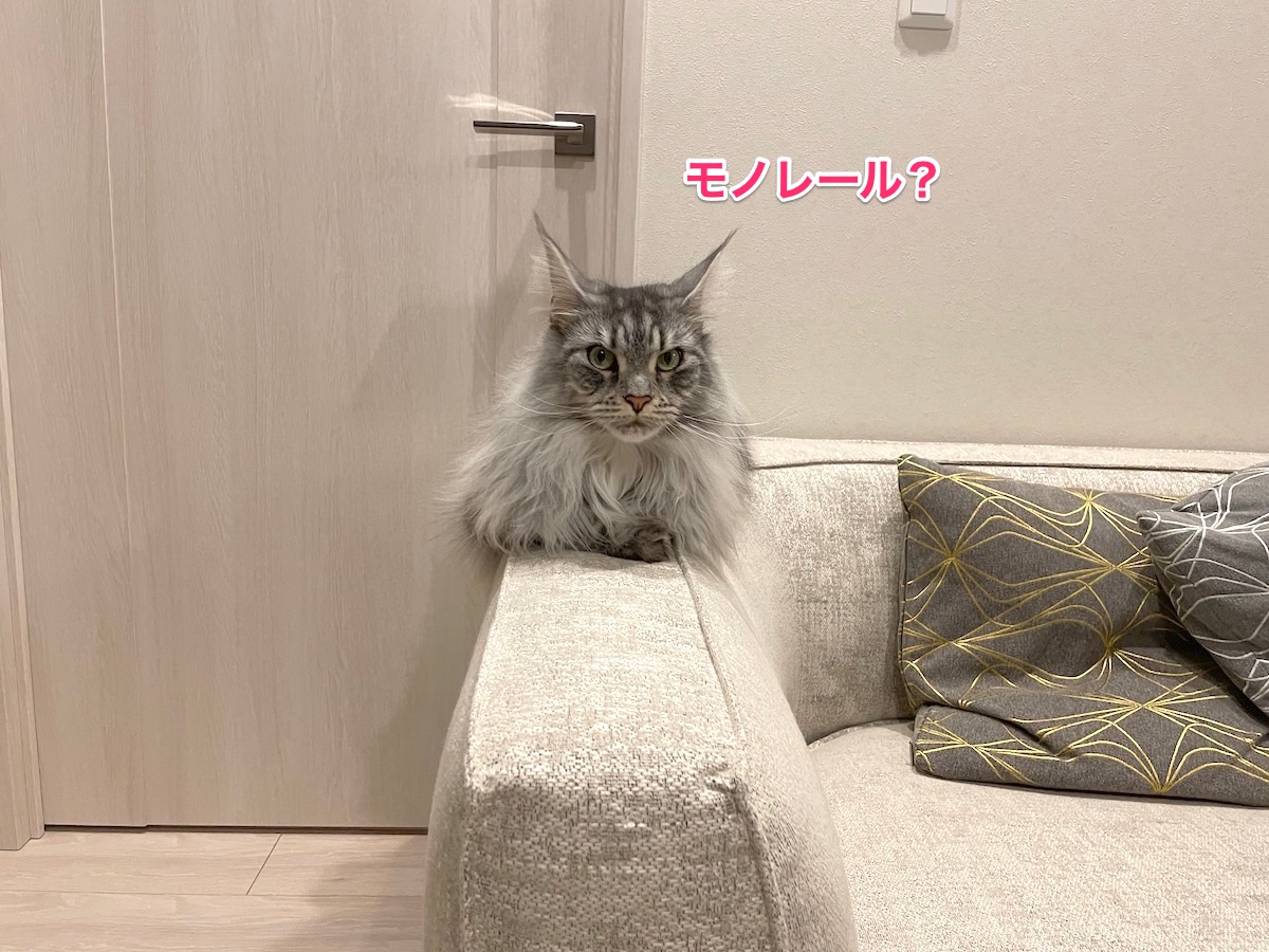 f:id:chikojirou:20210608214056j:plain