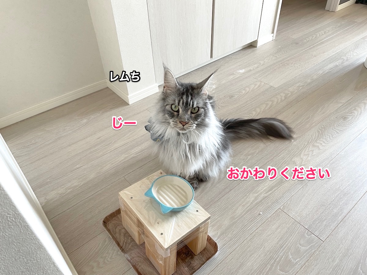 f:id:chikojirou:20210609223427j:plain