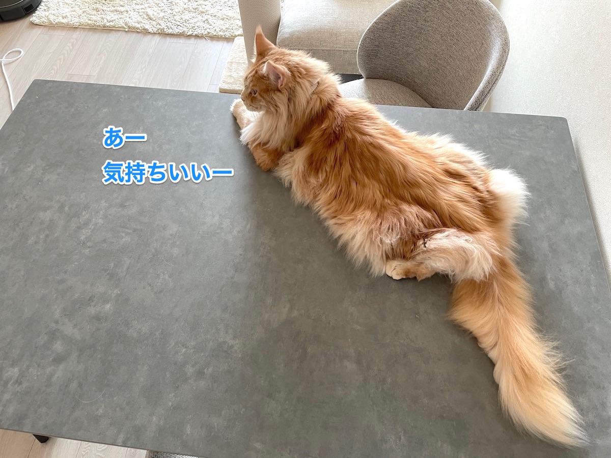 f:id:chikojirou:20210609223441j:plain