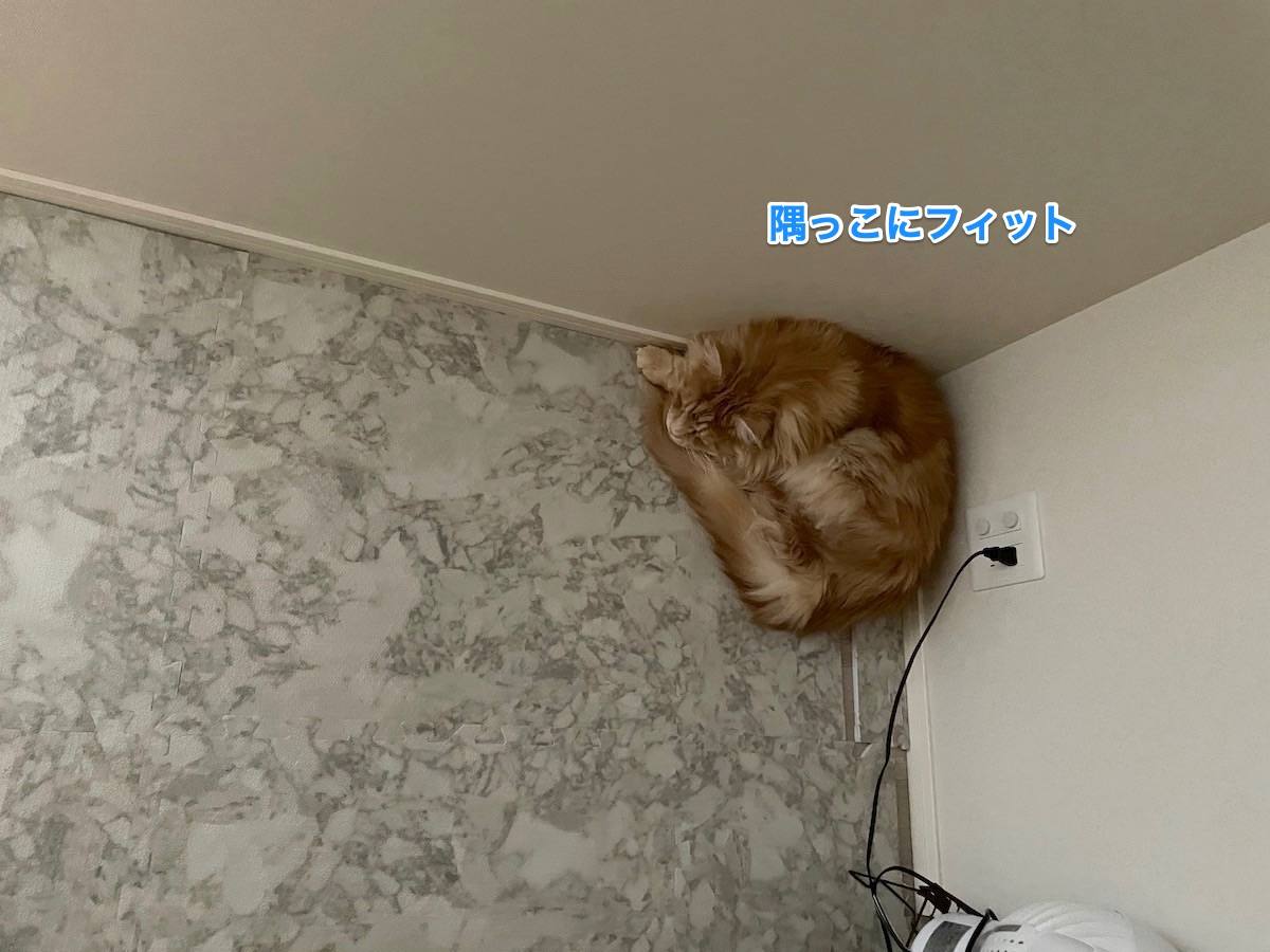 f:id:chikojirou:20210609223449j:plain