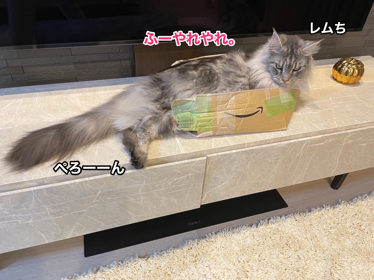 f:id:chikojirou:20210612205824j:plain