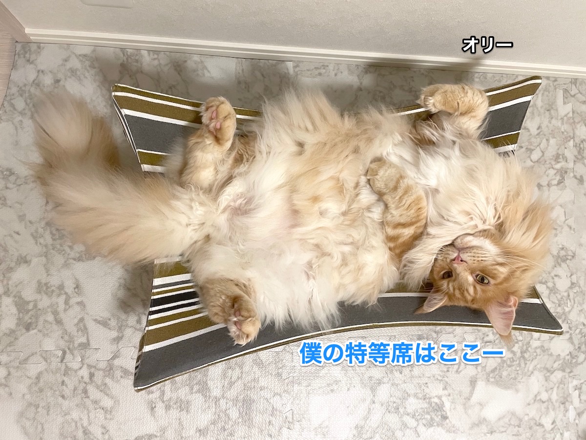 f:id:chikojirou:20210612205833j:plain