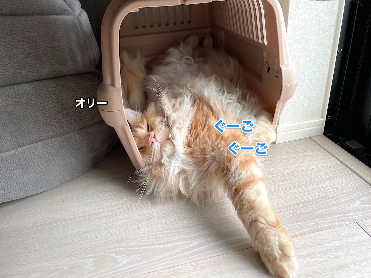 f:id:chikojirou:20210619215626j:plain