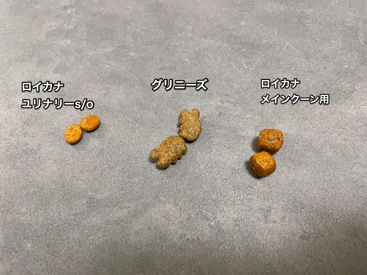 f:id:chikojirou:20210619215633j:plain