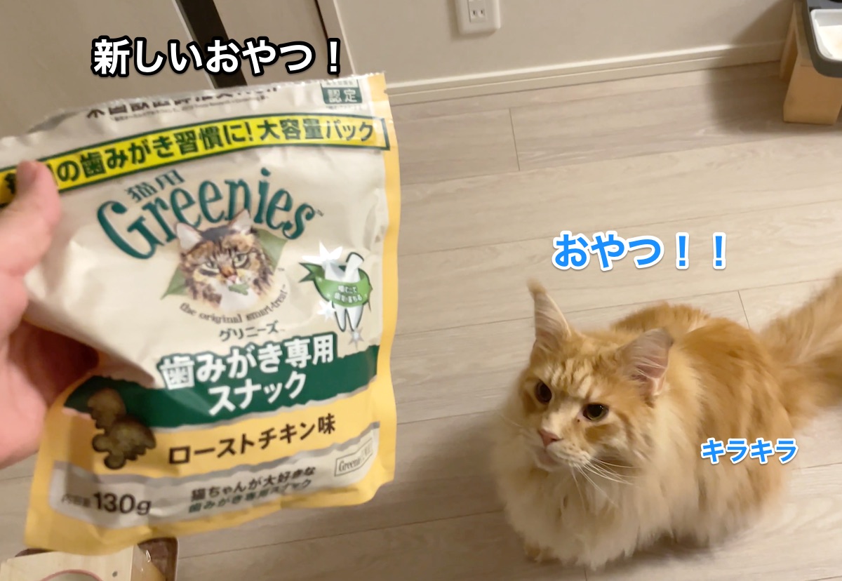 f:id:chikojirou:20210619215636j:plain