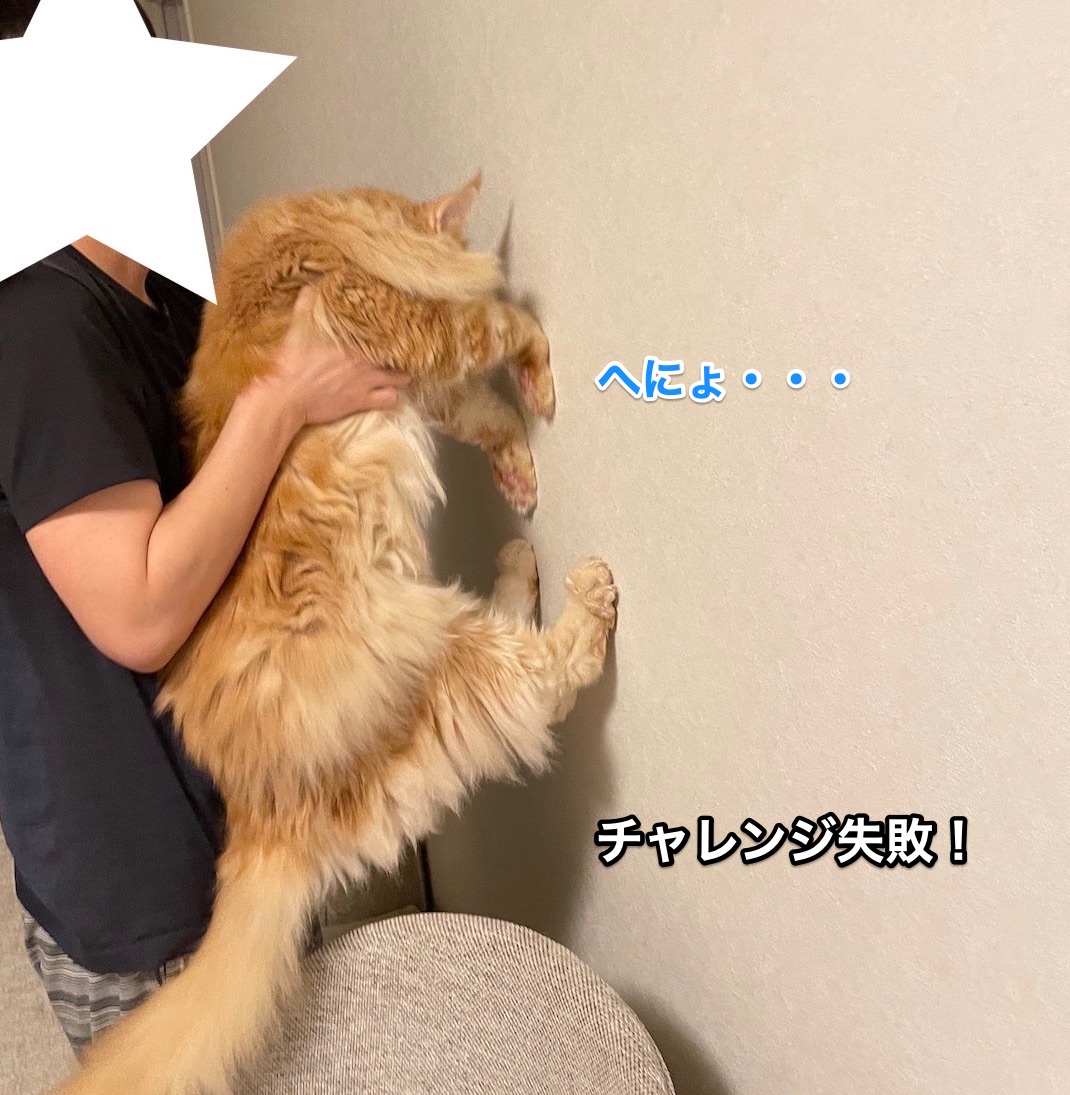 f:id:chikojirou:20210620214652j:plain