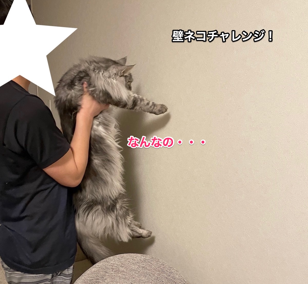f:id:chikojirou:20210620214658j:plain