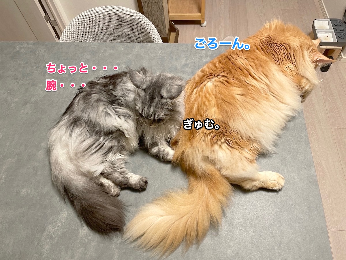 f:id:chikojirou:20210621220553j:plain