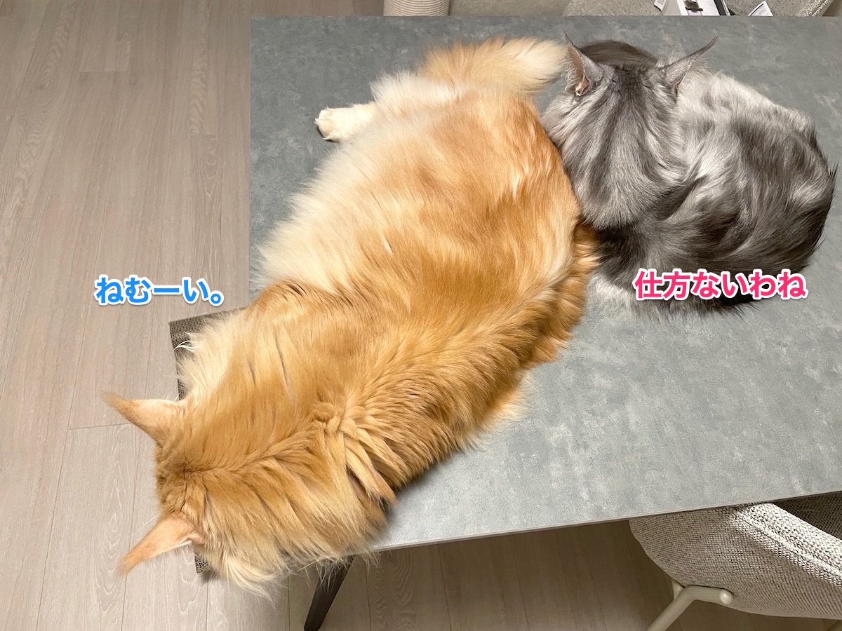 f:id:chikojirou:20210621220558j:plain