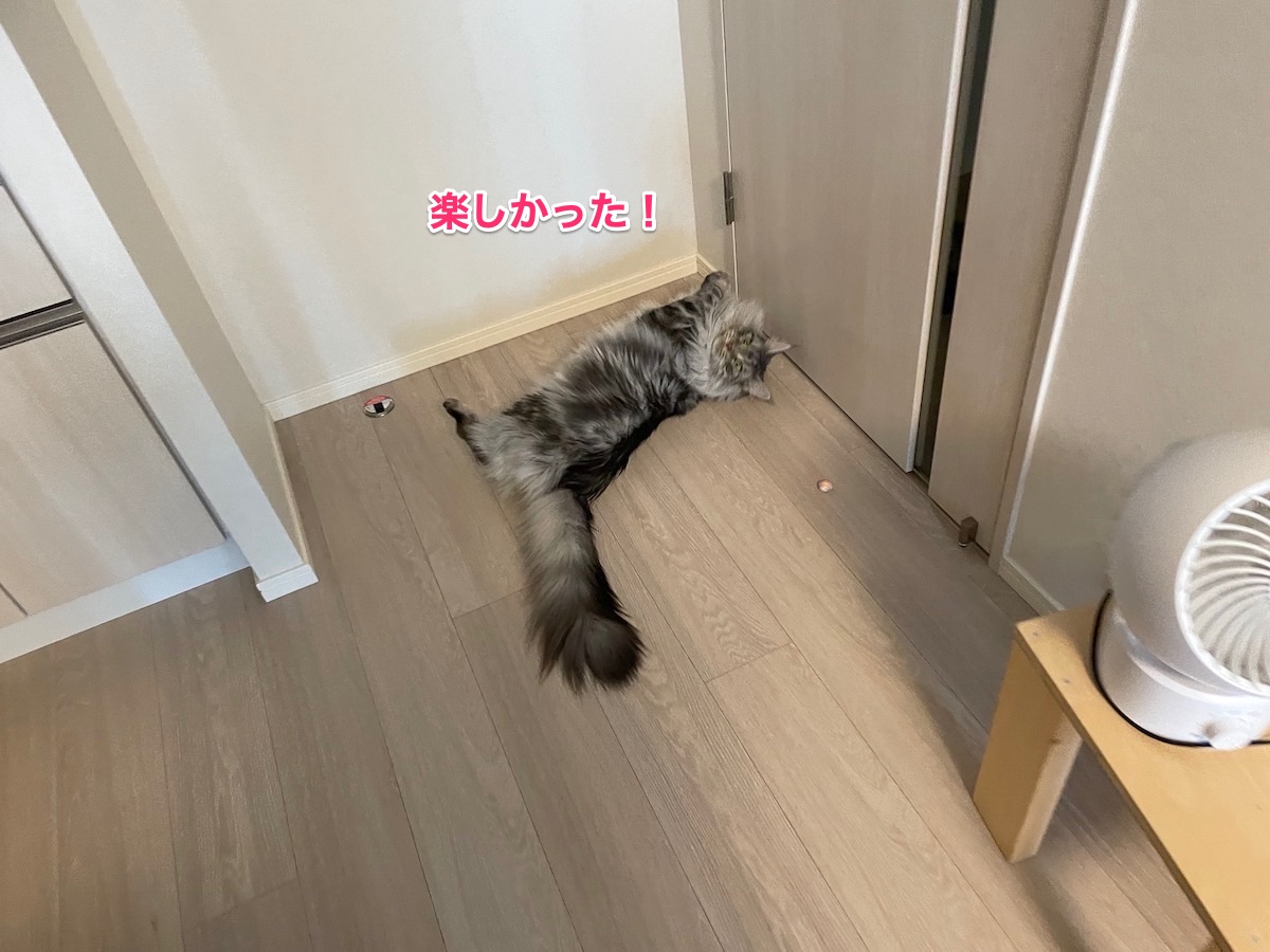 f:id:chikojirou:20210623220314j:plain