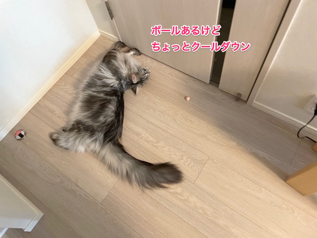 f:id:chikojirou:20210623220321j:plain