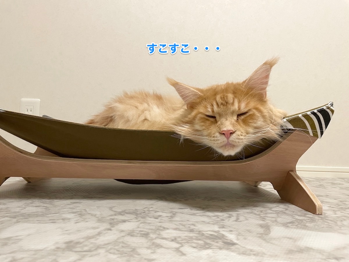 f:id:chikojirou:20210623220325j:plain