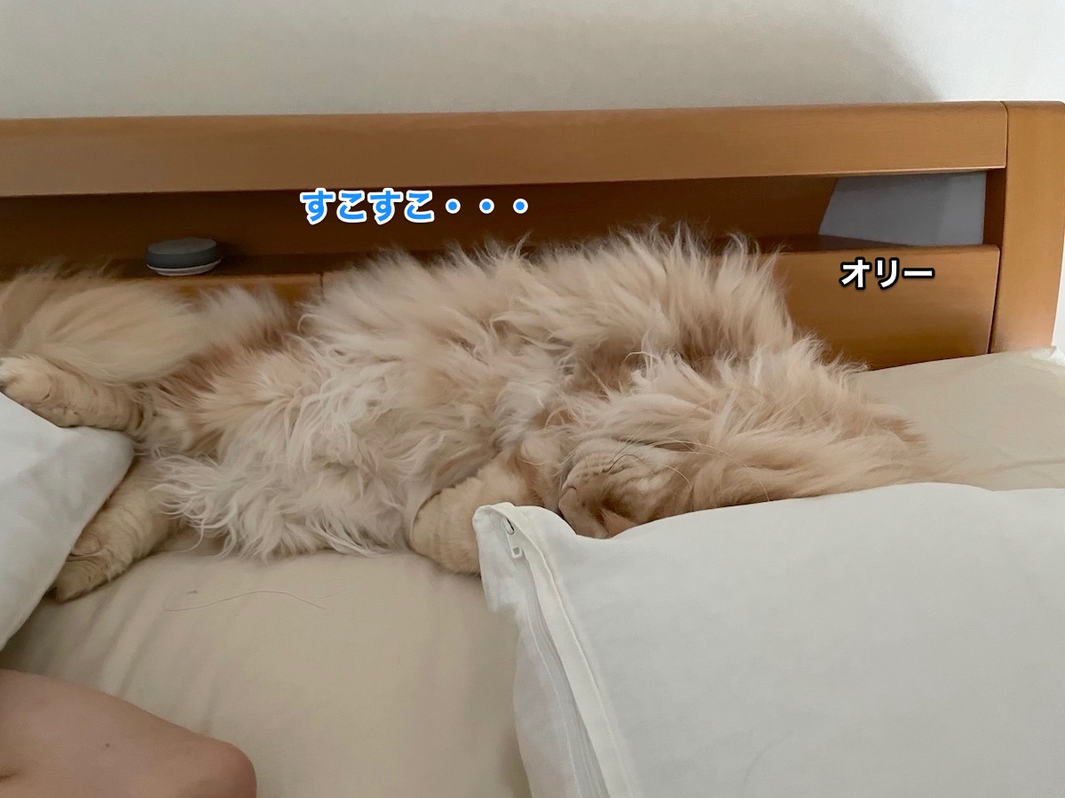 f:id:chikojirou:20210627151209j:plain