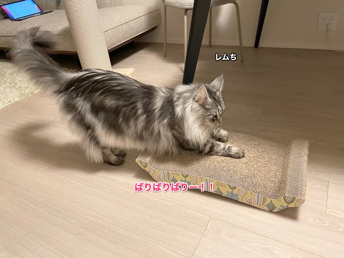 f:id:chikojirou:20210630224423j:plain