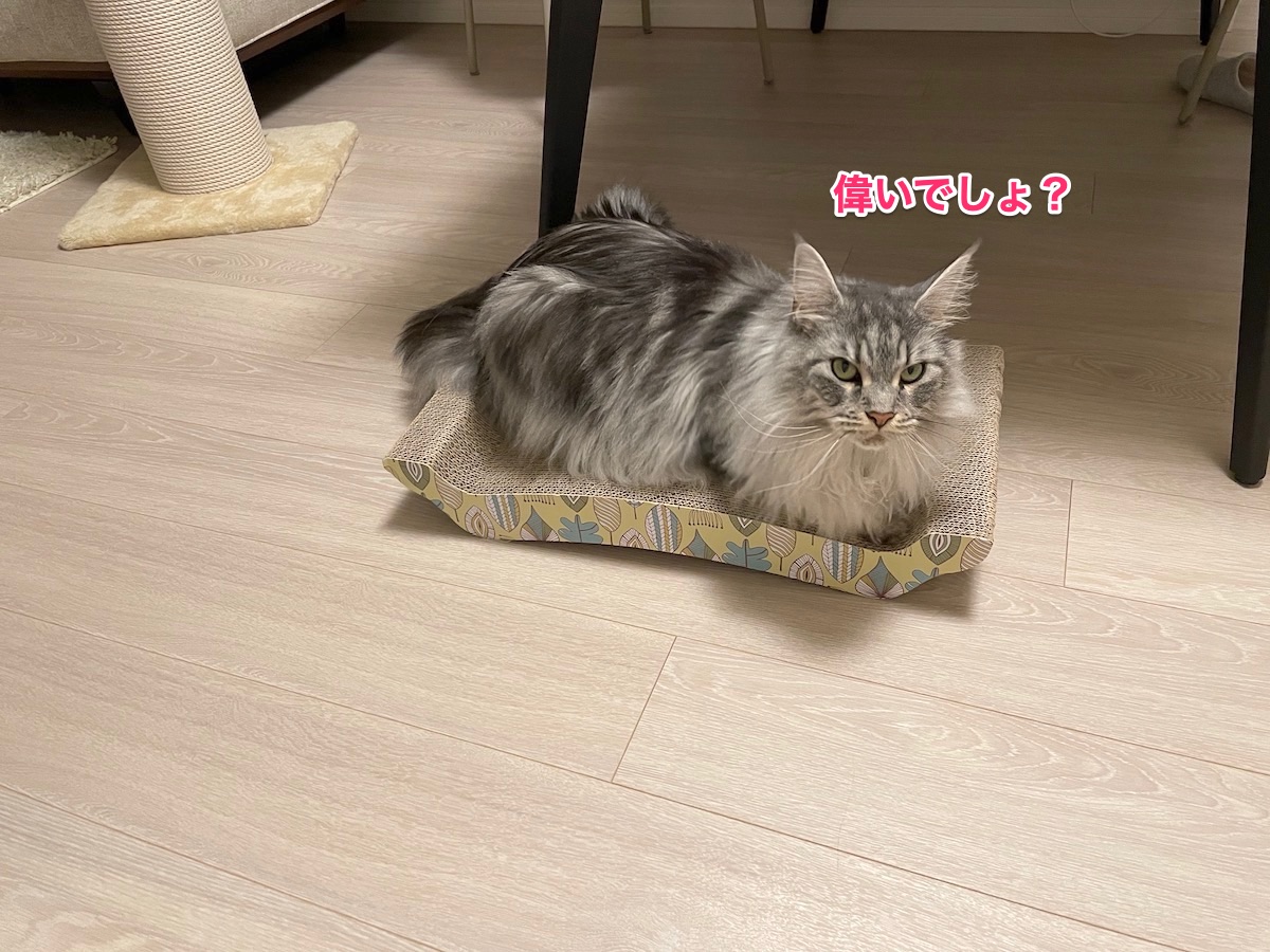 f:id:chikojirou:20210630224427j:plain