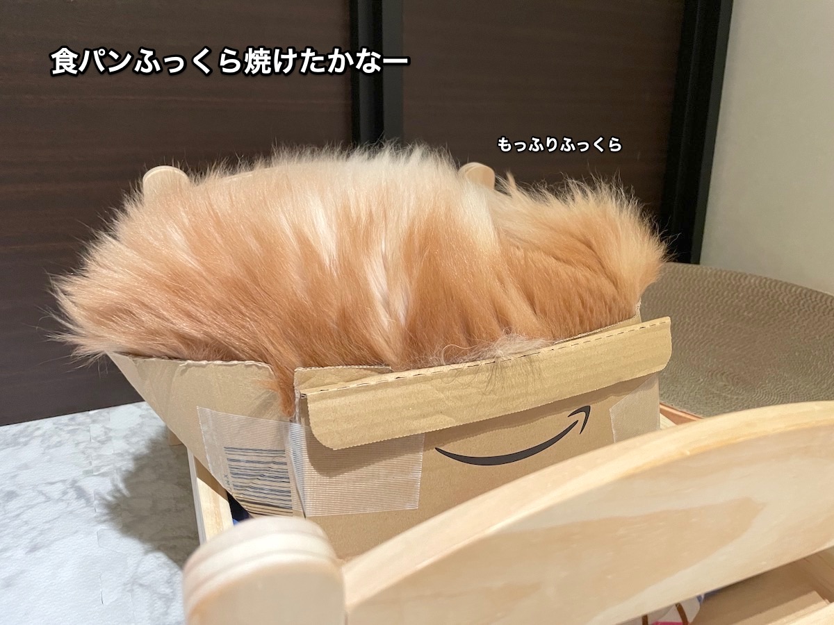f:id:chikojirou:20210630224430j:plain