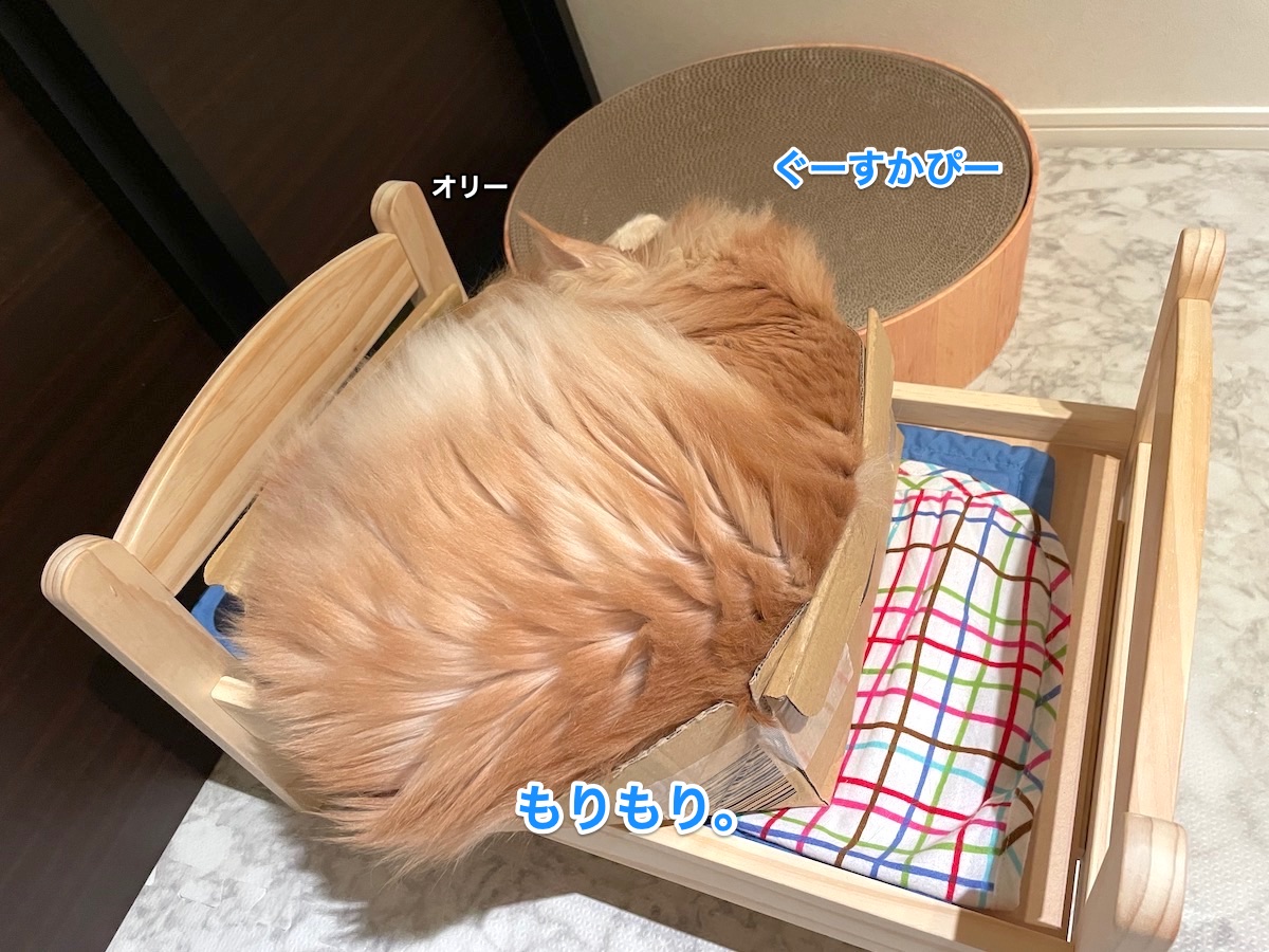 f:id:chikojirou:20210630224434j:plain