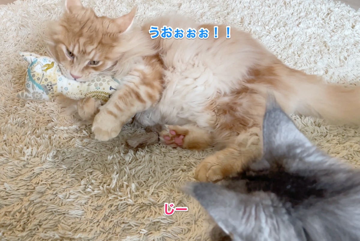 f:id:chikojirou:20210630224438j:plain