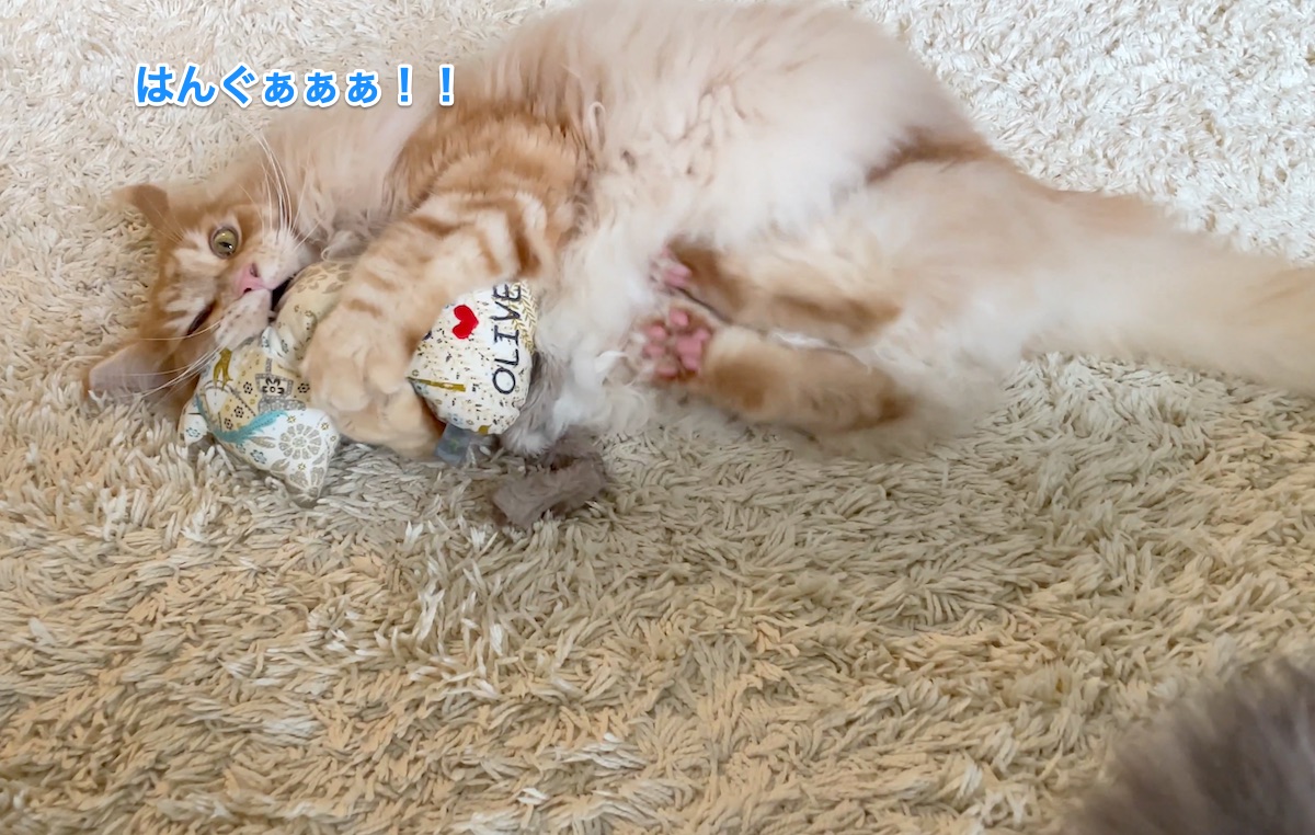 f:id:chikojirou:20210630224441j:plain