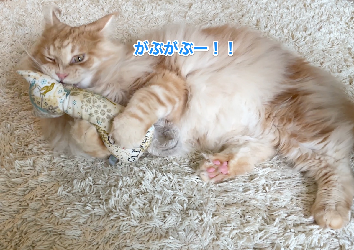 f:id:chikojirou:20210630224445j:plain