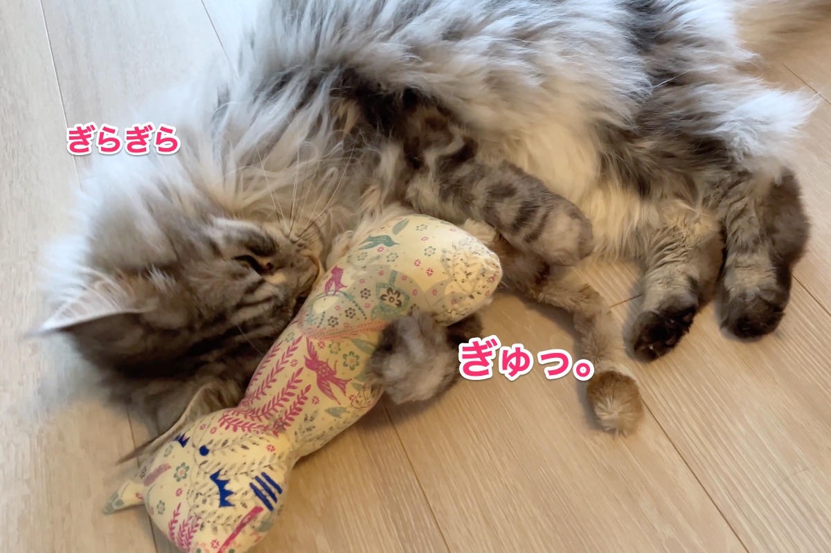f:id:chikojirou:20210630224448j:plain