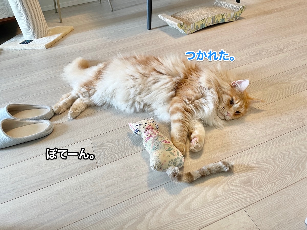 f:id:chikojirou:20210630224452j:plain