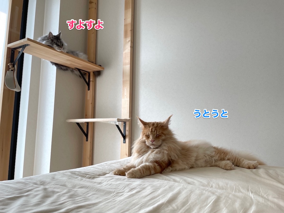 f:id:chikojirou:20210703220235j:plain