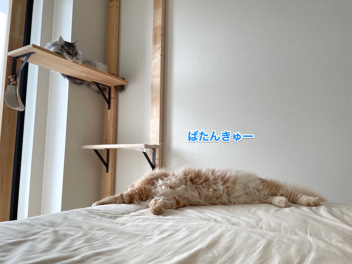 f:id:chikojirou:20210703220239j:plain
