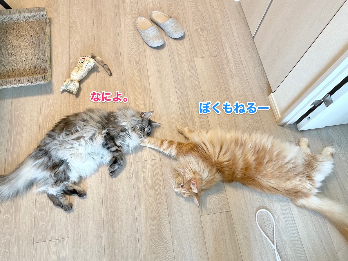 f:id:chikojirou:20210703220247j:plain